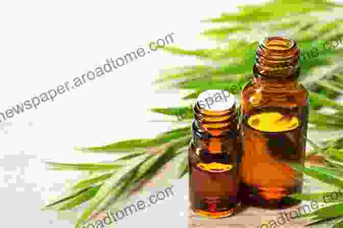 A Bottle Of Tea Tree Oil Essential Oils: With The 12 Fundamental Essential Oils (natural Remedies Essential Oils For Beginners Aromatherapy Essential Oils Essential Oils Guide)