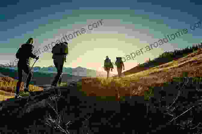 A Group Of Hikers Exploring A Forest, Symbolizing The Theoretical Foundations Of Adventure Therapy. Adventure Therapy: Theory Research And Practice