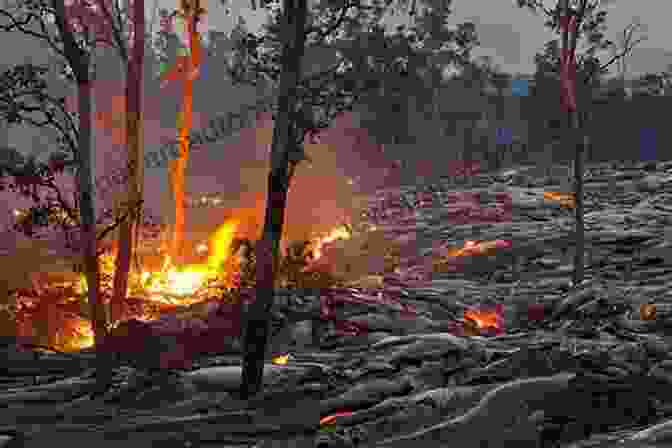 A Lush Rainforest Thriving In The Aftermath Of A Volcanic Eruption Volcanic Unrest: From Science To Society (Advances In Volcanology)