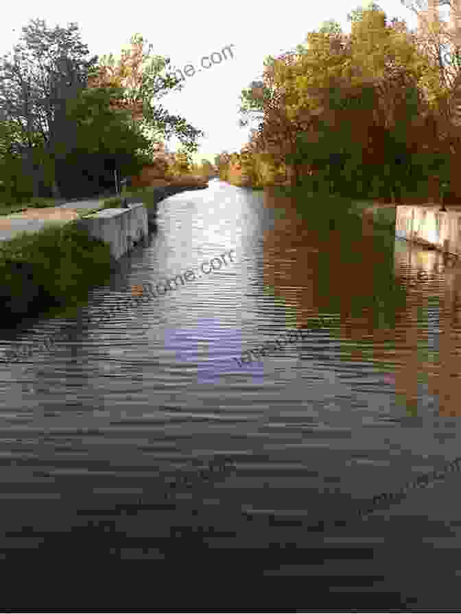 A Modern Day Visitor Admires The Serene Beauty Of The Miami And Erie Canal. Miami And Erie Canal (Images Of America)