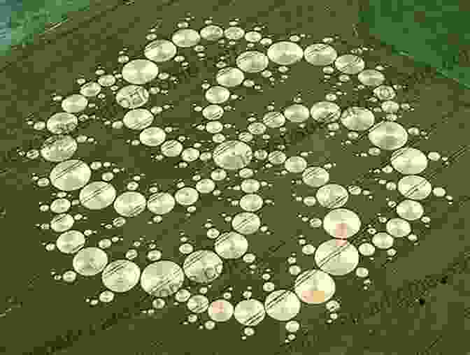 A Mysterious Crop Circle Formation In A Field We Are Not Alone: True Stories Of Sexual Assault Abuse Harassment From Around The World (You Are Not Alone)