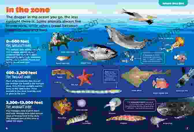 A Vibrant Illustration Of Diverse Ocean Animals With Their Unique Adaptations Ocean Animal Adaptations (Amazing Animal Adaptations)