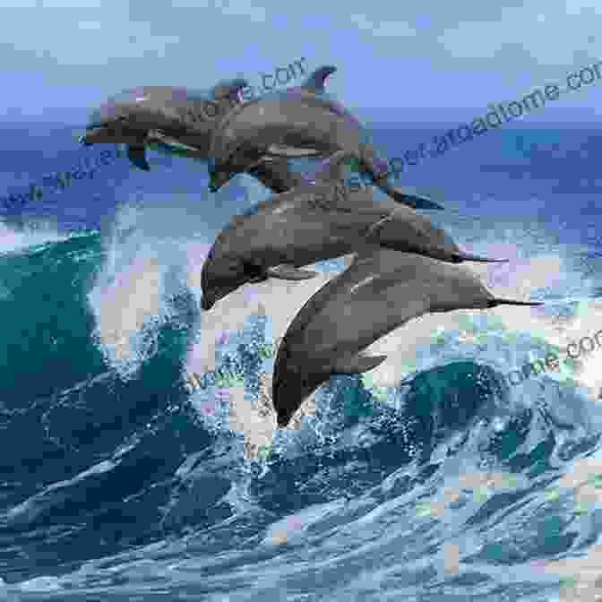 An Exhilarating Image Of A Pod Of Dolphins Leaping Through The Waves Ocean Animal Adaptations (Amazing Animal Adaptations)