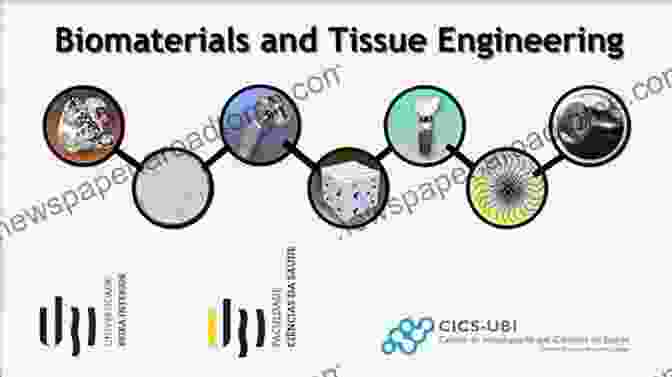 Biomaterials And Tissue Engineering Recent Trends In Materials Science And Applications: Nanomaterials Crystal Growth Thin Films Quantum Dots Spectroscopy (Proceedings ICRTMSA 2024) (Springer Proceedings In Physics 189)