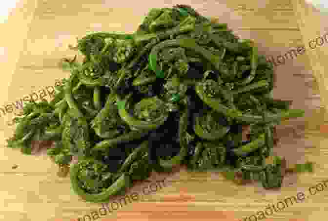 Close Up Image Of A Pile Of Fresh Fiddlehead Ferns On A Wooden Surface Health Benefits Of 150 Vegetables (All About Vegetables)