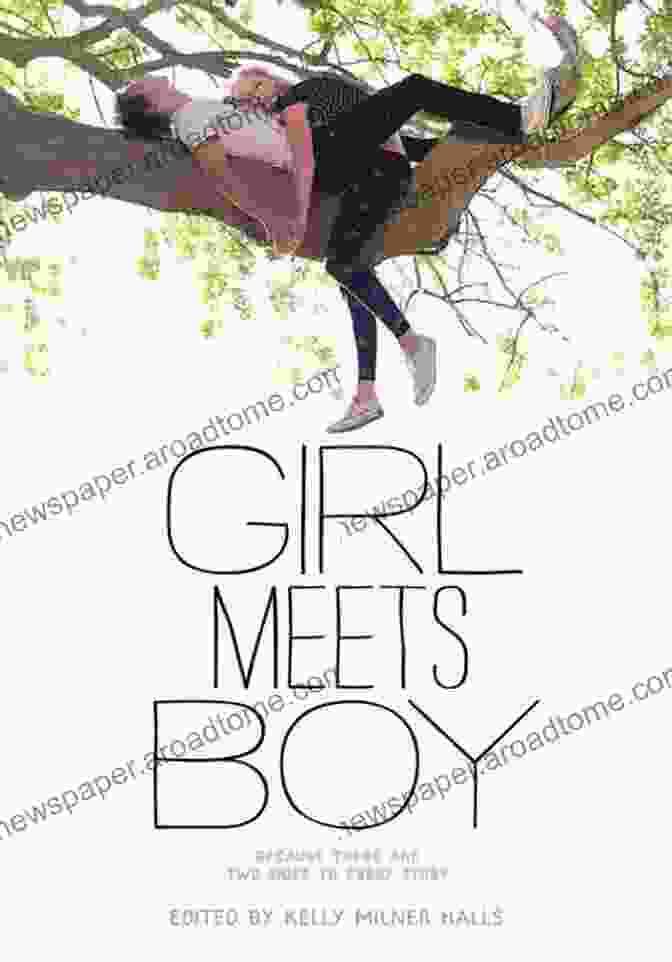 Cover Of 'Boy Meets Girl Meets Genre' Book Romantic Comedy: Boy Meets Girl Meets Genre (Short Cuts)