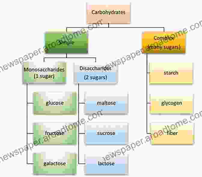 Diagram Illustrating The Classification Of Carbohydrates Into Monosaccharides, Disaccharides, And Polysaccharides Carbohydrates: Clinical Chemistry Study Topics