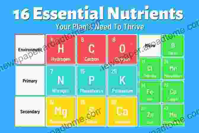 Diagram Of Plant Nutrition, Showing The Essential Nutrients Required For Plant Growth Plant Science For Gardeners: Essentials For Growing Better Plants