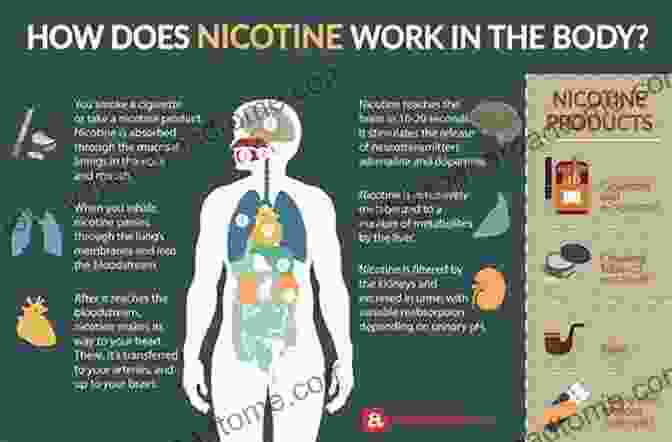 Diagram Of The Brain's Reward System And Nicotine's Effects Quit Smoking: A Guide With Proven Strategies To Help You Quit Smoking For Life