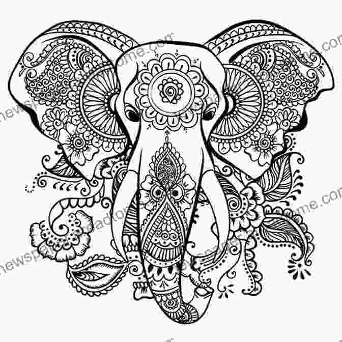 Elephants Coloring Book Cover Elephants Coloring Bring The Classics To Life