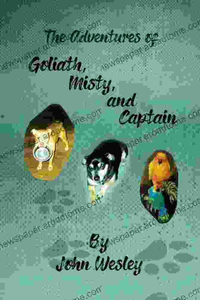 Goliath, Misty, And Captain Standing Together In A Magical Forest, Surrounded By Sparkling Stars And Whimsical Creatures The Adventures Of Goliath Misty And Captain