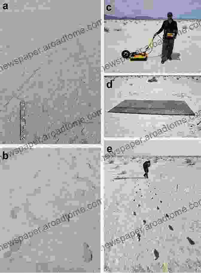 Ground Penetrating Radar Reveals Hidden Structures And Anomalies Nondestructive Techniques For The Assessment And Preservation Of Historic Structures