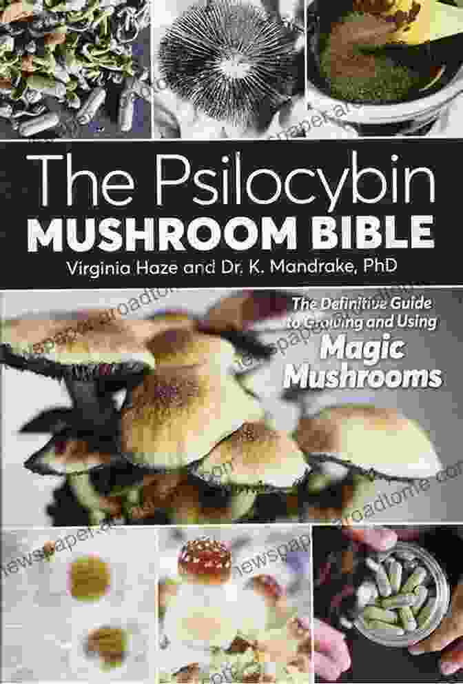 Harvesting Psilocybin Mushrooms Magic Mushrooms: The Psilocybin Mushroom Bible A Guide To Cultivation And Safe Use (Entheogens 1)