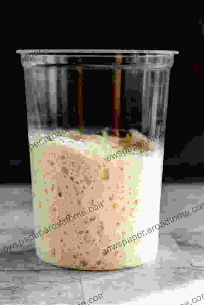 Healthy Sourdough Starter With Visible Bubbles Made Sweet Recipes Breads: Learn To Make A Sourdough Starter And Keep The Leaven Active With Regular Feeding