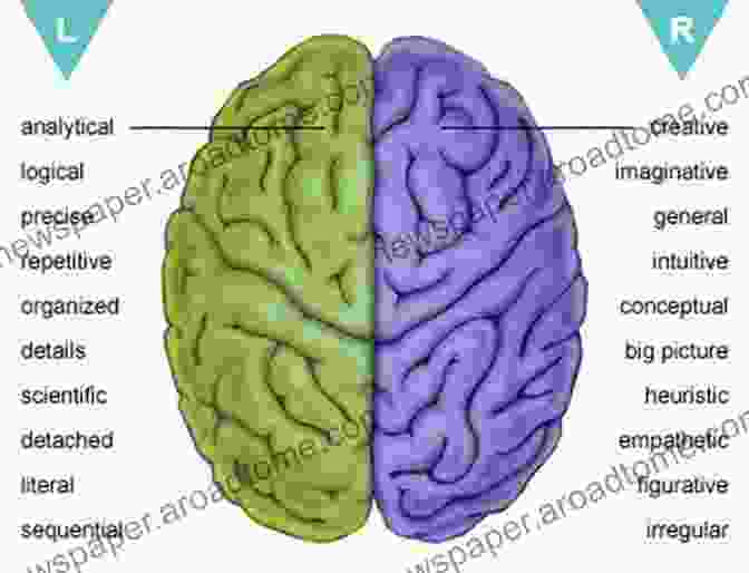 Hemispheric Difference In The Brain The Divided Therapist: Hemispheric Difference And Contemporary Psychotherapy