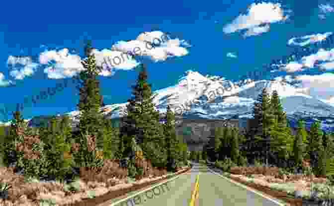 Hikers Traversing A Scenic Trail Amidst Towering Trees In The Mount Shasta Trinity Region Day Hiking: Mount Shasta Lassen Trinity: Alps Regions Redding Castle Crags Marble Mountains Lava Beds