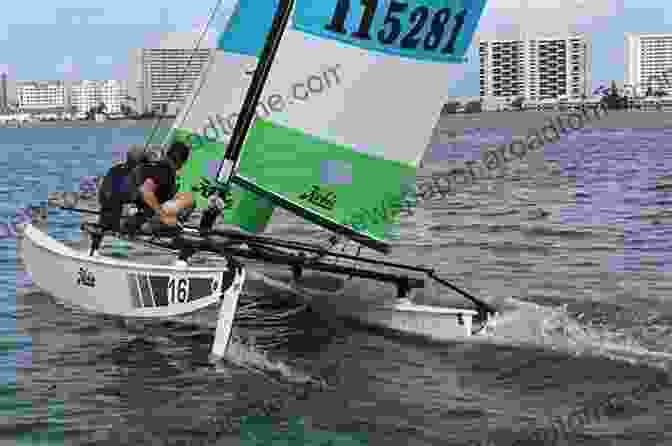 Hobie Cat 16 Sailboat Twenty Small Sailboats To Take You Anywhere