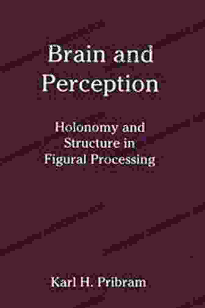 Holonomy And Structure In Figural Processing Book Cover Brain And Perception: Holonomy And Structure In Figural Processing (Distinguished Lecture Series)