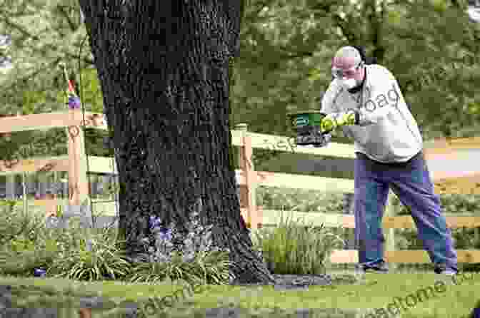 Image Of A Person Applying Fertilizer To A Houseplant Petal To The Metal: Growing Gorgeous Houseplants (Easy Growing Gardening 5)