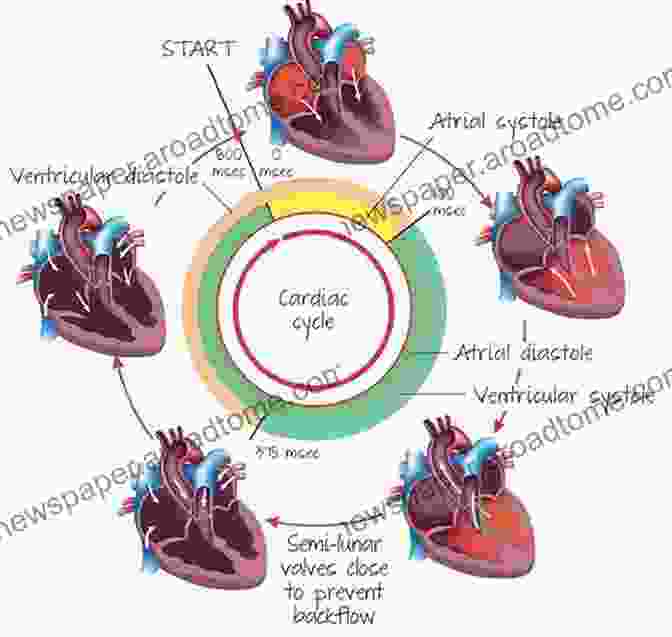 Level 4: Initiation Of The Heart Beyond Ascension: How To Complete The Seven Levels Of Initiation (Complete Ascension 3)