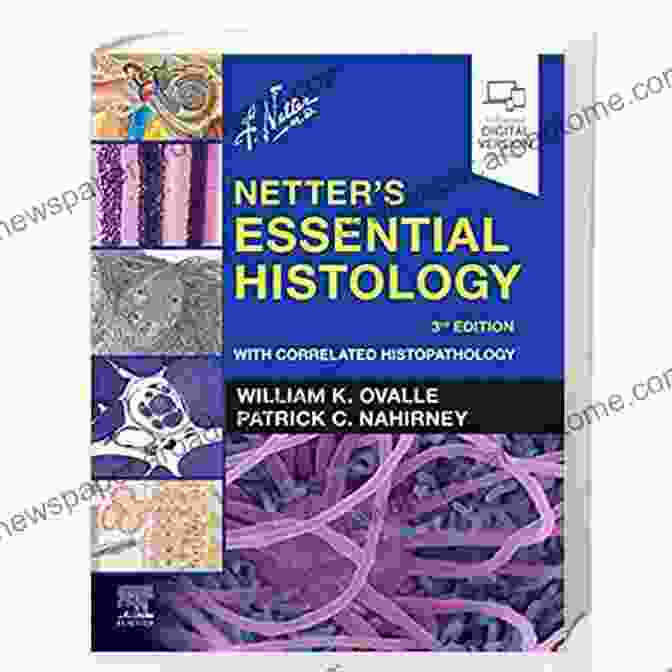 Netter Basic Science Cover Netter S Clinical Anatomy (Netter Basic Science)