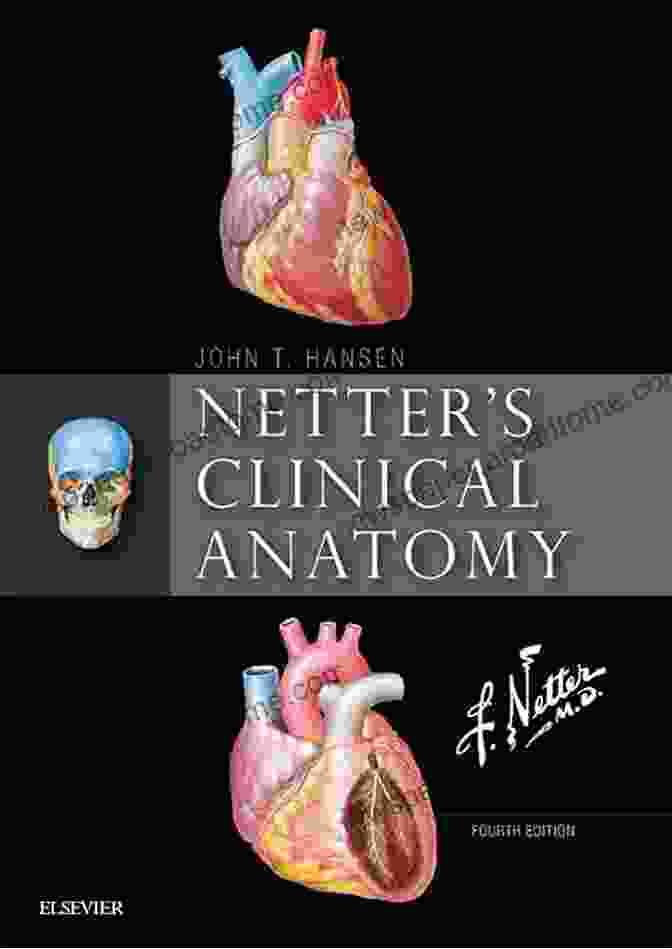 Netter Clinical Anatomy Cover Netter S Clinical Anatomy (Netter Basic Science)