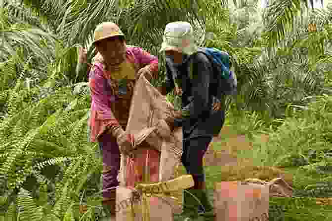 Photo Of A Palm Oil Plantation Worker In Indonesia, Working In Hazardous Conditions Palm Oil: The Grease Of Empire (Vagabonds)