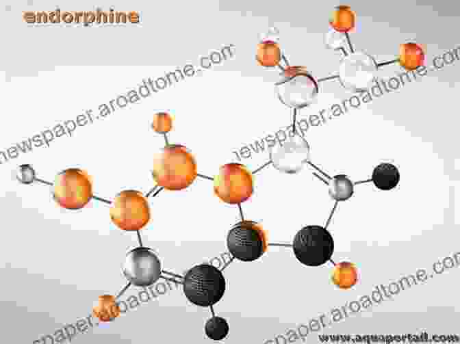 Photo Of Endorphin Molecules Endorphins In Reproduction And Stress