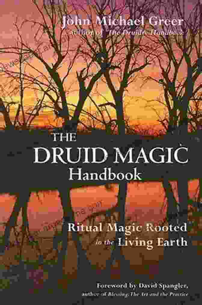 Ritual Magic Rooted In The Living Earth Book Cover The Druid Magic Handbook: Ritual Magic Rooted In The Living Earth