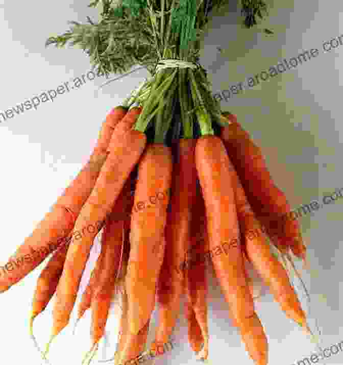 Side View Image Of A Bunch Of Fresh, Orange Carrots Placed On A Wooden Surface Health Benefits Of 150 Vegetables (All About Vegetables)