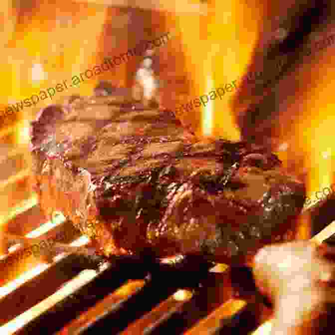 Sizzling Steak On A Grill 365 Fantastic Beef Recipes: The Best Ever Of Beef Cookbook