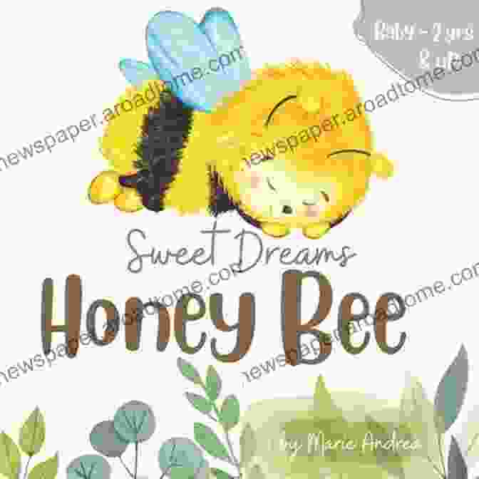 Sweet Dreams Honey Bee Baby Book Cover Sweet Dreams Honey Bee ( Baby 2yrs Up)