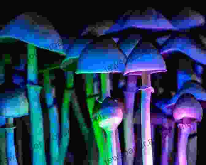 The Hallucinogenic Effects Of Psilocybin Magic Mushrooms: The Psilocybin Mushroom Bible A Guide To Cultivation And Safe Use (Entheogens 1)