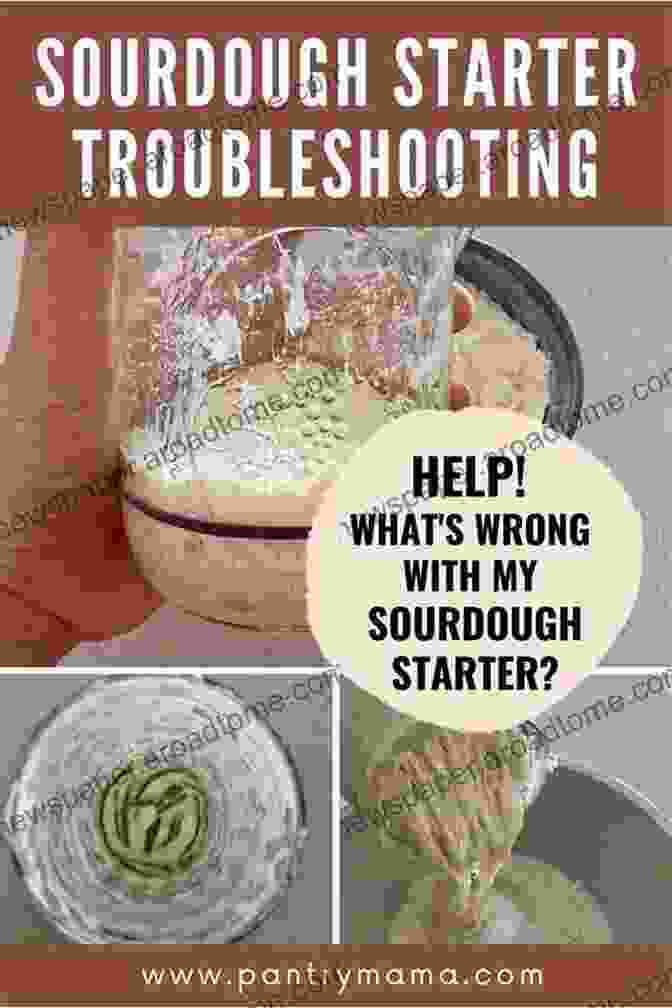 Troubleshooting Sourdough Starter Issues Made Sweet Recipes Breads: Learn To Make A Sourdough Starter And Keep The Leaven Active With Regular Feeding