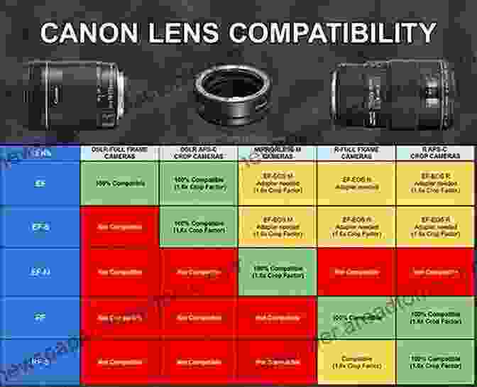 Variety Of Canon Lenses Canon EOS 60D For Dummies