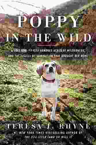 Poppy In The Wild: A Lost Dog Fifteen Hundred Acres Of Wilderness And The Dogged Determination That Brought Her Home