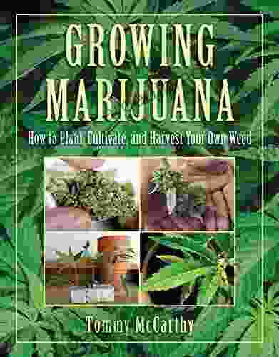 Growing Marijuana: How to Plant Cultivate and Harvest Your Own Weed