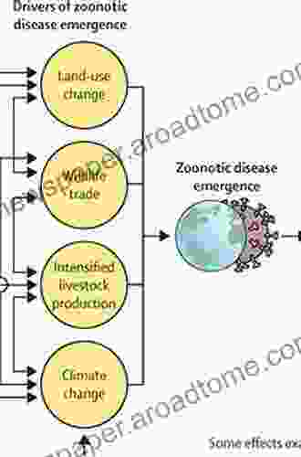 Gen Z: Between Climate Crisis and Coronavirus Pandemic