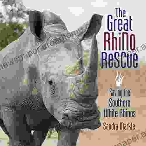 The Great Rhino Rescue: Saving the Southern White Rhinos (Sandra Markle s Science Discoveries)