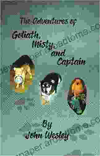 The Adventures Of Goliath Misty And Captain
