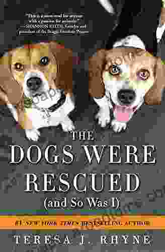 The Dogs Were Rescued (And So Was I)