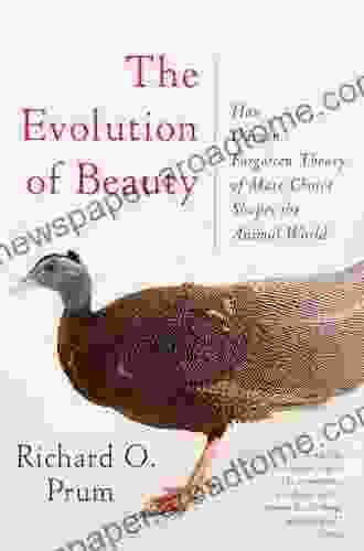 The Evolution Of Beauty: How Darwin S Forgotten Theory Of Mate Choice Shapes The Animal World And Us