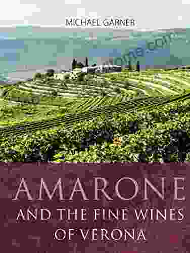 Amarone And The Fine Wines Of Verona (The Infinite Ideas Classic Wine Library)