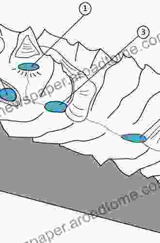 Geomorphology Of Proglacial Systems: Landform And Sediment Dynamics In Recently Deglaciated Alpine Landscapes (Geography Of The Physical Environment)