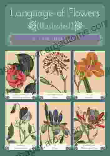 Language Of Flowers (illustrated) Kate Greenaway